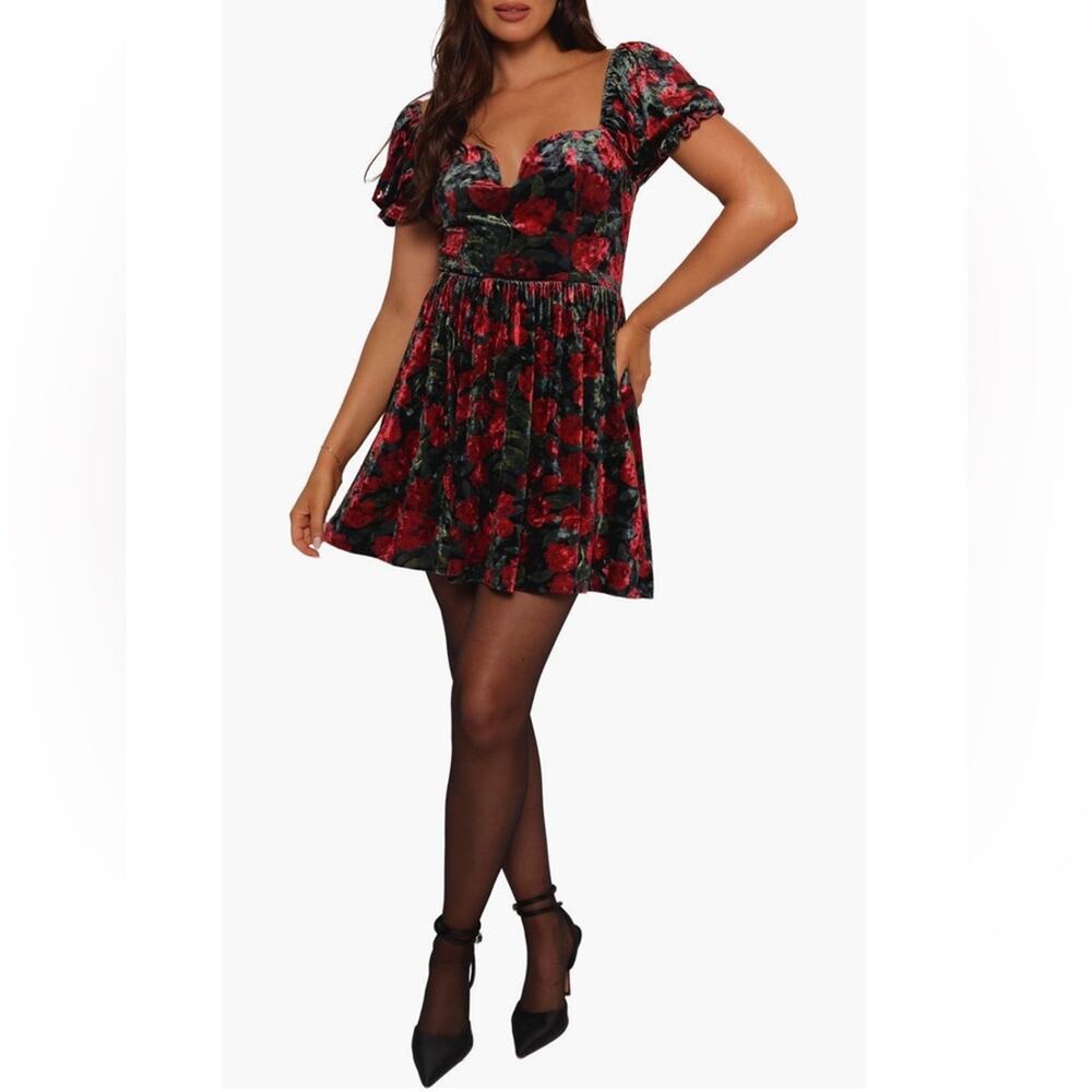 NWT Petal & Pup Anders Floral Velvet Mini Dress Size Small